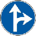 Possible obligatory directions